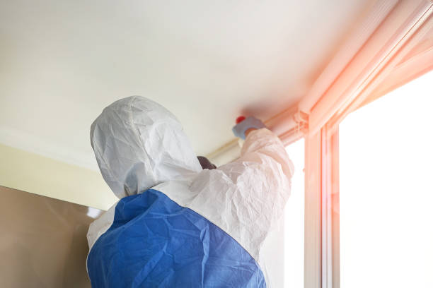 Professional Mold Removal Services in Brownsville, KY